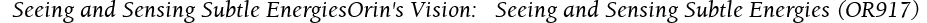   Seeing and Sensing Subtle EnergiesOrin's Vision:   Seeing and Sensing Subtle Energies (OR917)