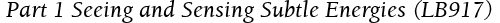  Part 1 Seeing and Sensing Subtle Energies (LB917)