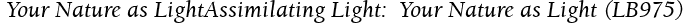  Your Nature as LightAssimilating Light:  Your Nature as Light (LB975)