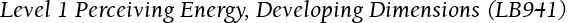 Level 1 Perceiving Energy, Developing Dimensions (LB941)
