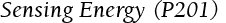 Sensing Energy (P201)