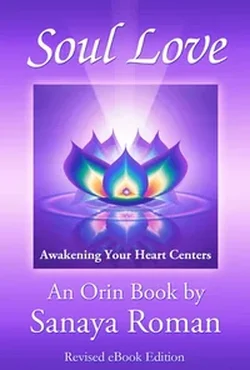 SL book cover
